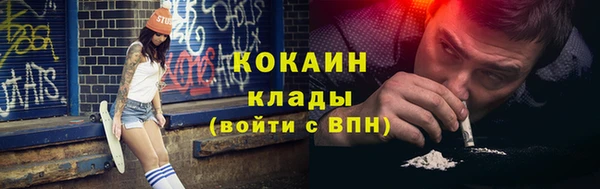прущий лед Богданович