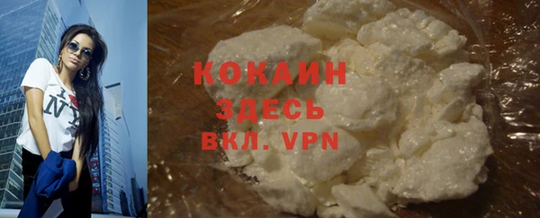 прущий лед Богданович