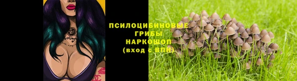 не бодяженный Богородицк