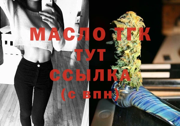 прущий лед Богданович
