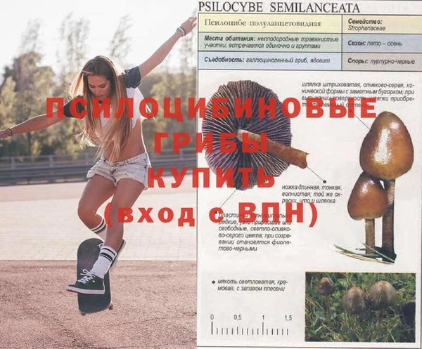 прущий лед Богданович