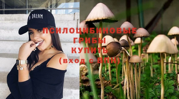 не бодяженный Богородицк
