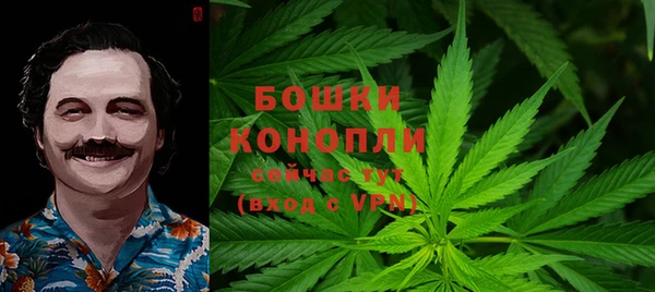 прущий лед Богданович